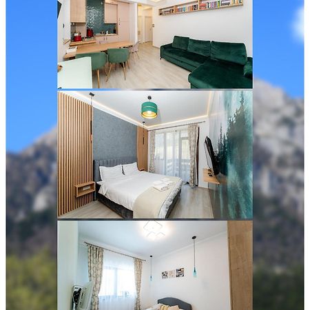 Cross Caraiman View 1 Apartment Busteni Ngoại thất bức ảnh